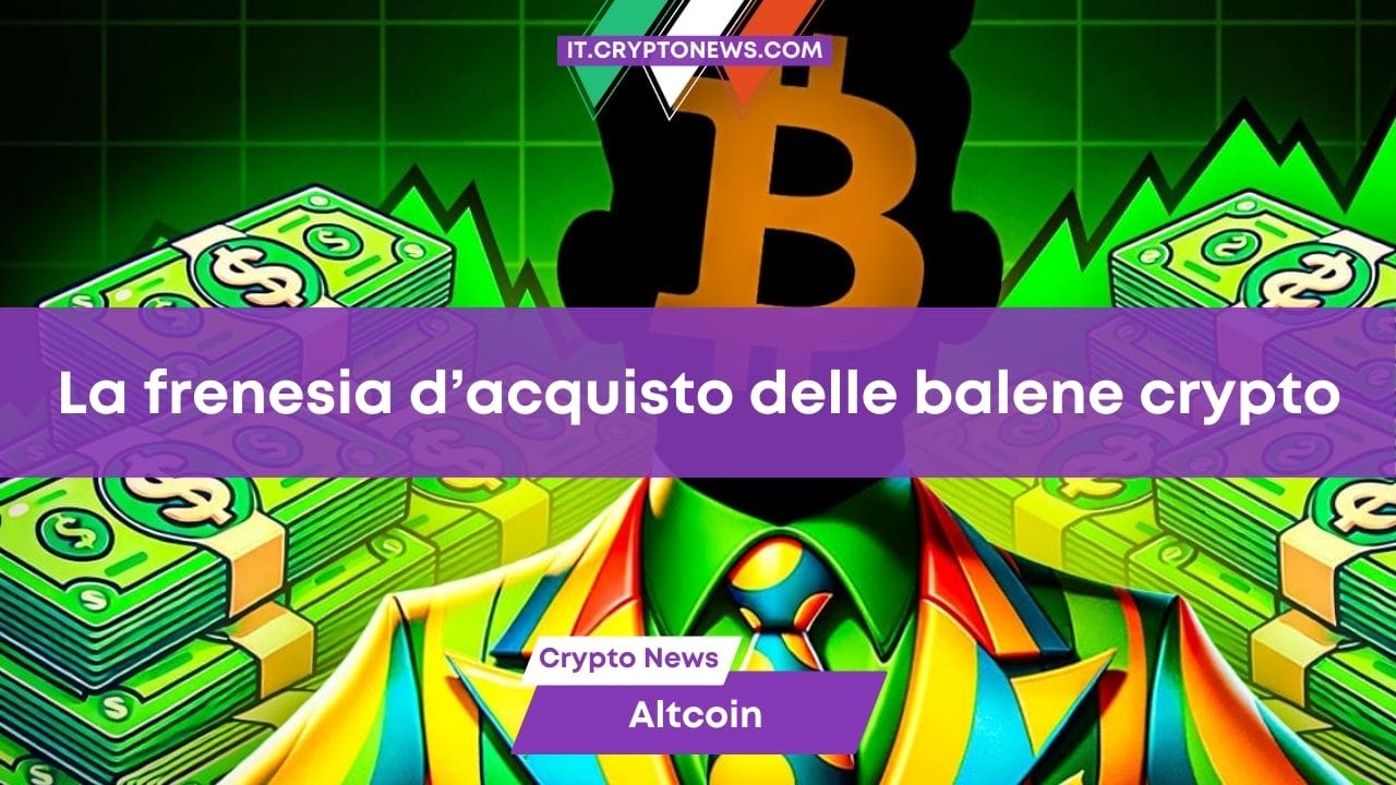 Le balene in frenesia d’acquisto! Ecco quanti miliardi stanno investendo nelle crypto