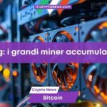 Halving di Bitcoin: i piccoli miner soccombono, i grandi accumulano