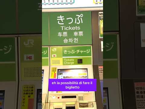 Come funziona la Metro a Tokyo #giappone 🇯🇵 #travel