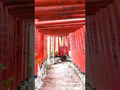 Luoghi nascosti 🫥 in Giappone ⛩️Una Fushimi Inari in miniatura #giappone