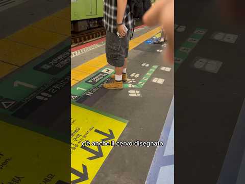 Mettersi in fila in Giappone (Osaka) per prendere il Treno giusto e fare la fila giusta  🥰#giappone