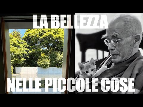 Buddismo Zen, Meditazione e Contemplazione al D T Suzuki Museum