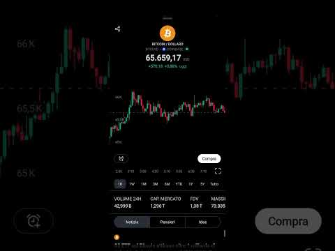 Bitcoin salito a 66.000$