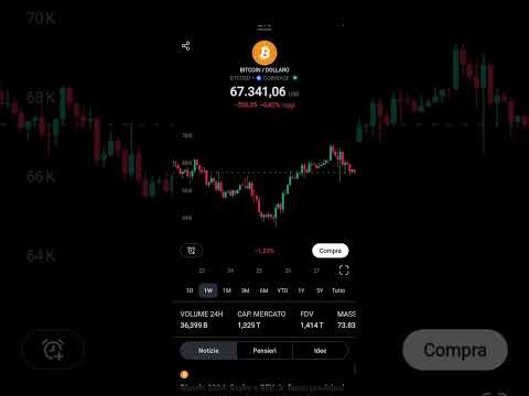 Ecco perché Bitcoin è tornato a 67.000$ secondo me