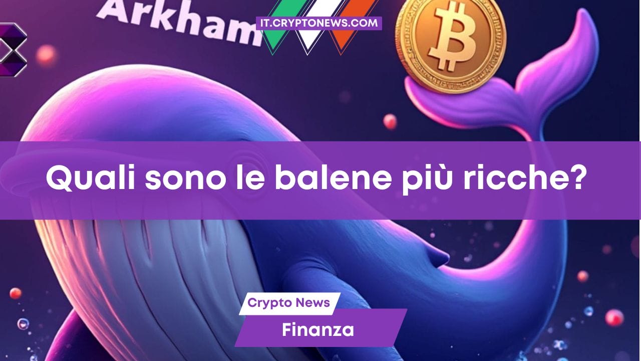 Ecco quali sono le 7 balene crypto più ricche (e quanto sono ricche)