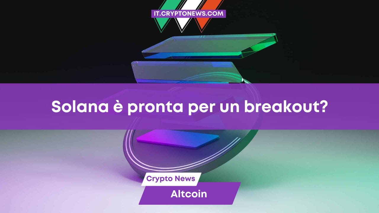 Solana è pronta per un breakout? Un analista prevede un rally fino a 500 dollari