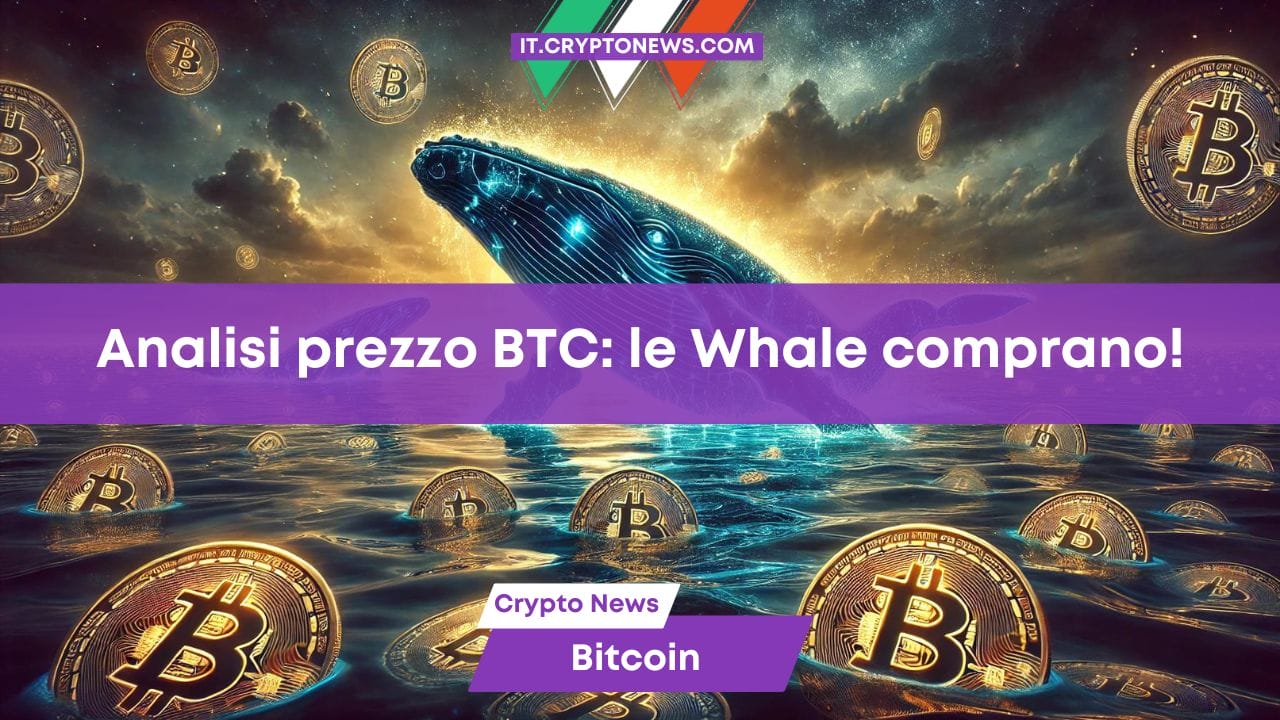 Analisi prezzo Bitcoin: le balene comprano 240 milioni di BTC in una sola settimana