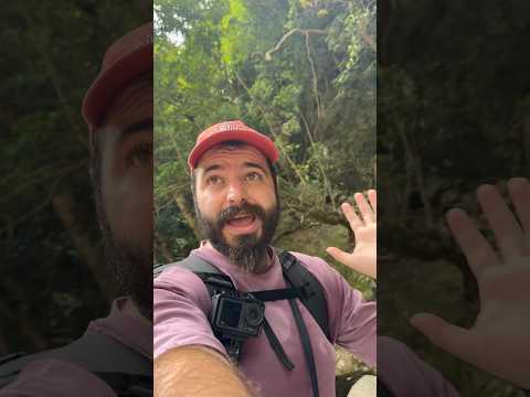 Questa parte del Giappone è sconosciuta. Oko no Taki a Yakushima #giappone