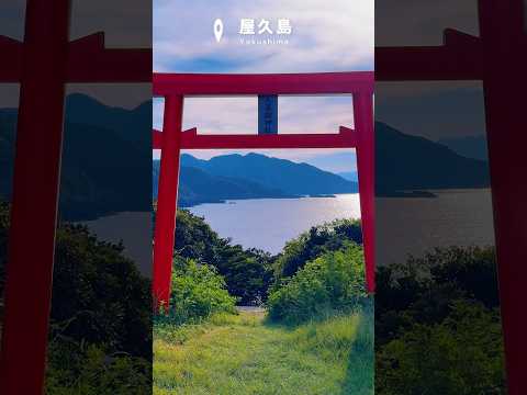 Yakushima ❤️ #giappone
