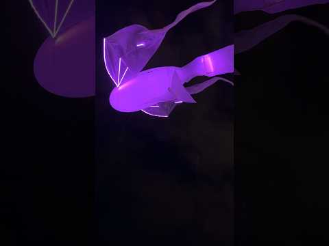 Sogno di una notte di mezz’estate’ (真夏の夜の夢) #giappone
