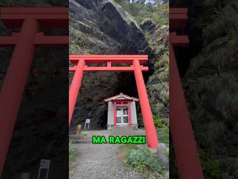 Un Tempio così in Giappone non lo avete mai visto. Yahazudake a Yakushima #giappone