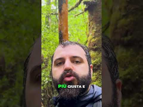 La Felicità nei Piccoli Momenti