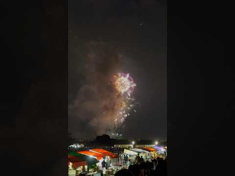 I fuochi d’artificio sullo Yodogawa di quest’anno sono stati pazzeschi 🎇 #giappone #travel