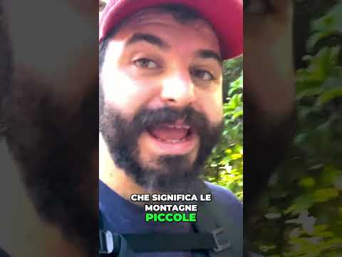 Scopri il Magico Mondo dei Paesaggi in Miniatura