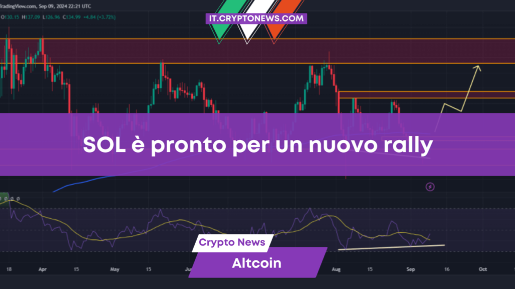 Analista crypto: SOL è pronto per un nuovo rally  con possibile aumento del 35%