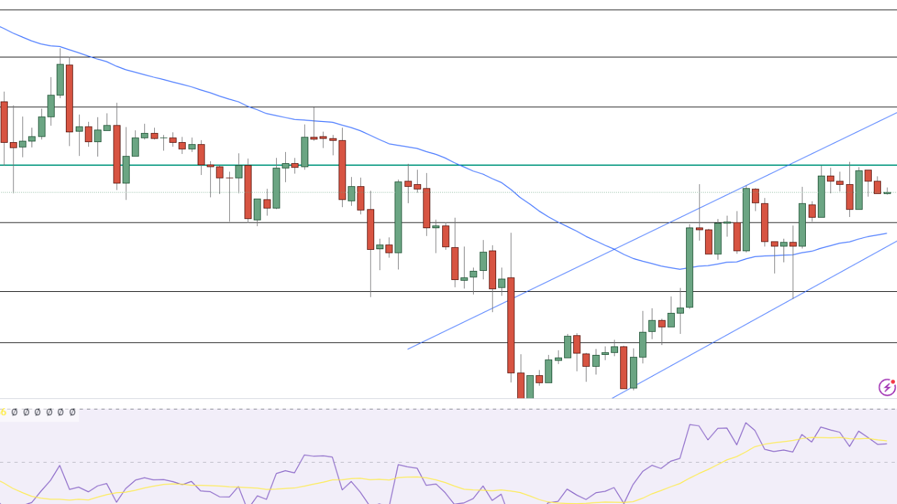 Bitcoin verso 100.000 dollari: Donald Trump o Kamala Harris non possono fermarlo