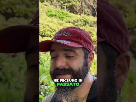 Scopri il Luogo Magico 🌊 vicino allo Yahazudake Shrine! 🌟