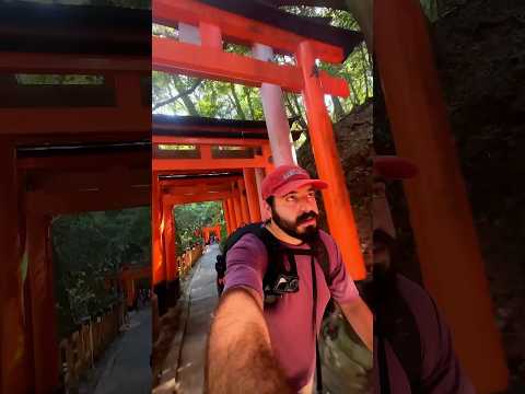 Semplicemente Fushimi Inari Taisha #viaggiareingiappone #fushimiinarishrine #irari #giappone