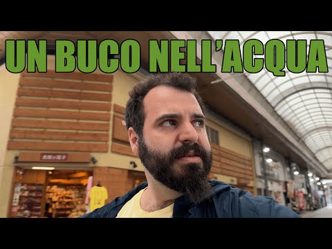 Miyazaki Fiasco! Non mi sarei mai aspettato una cosa del genere