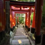 Fushimi Inari Taisha. Lontano dalla Folla #giappone #viaggioingiappone #travel