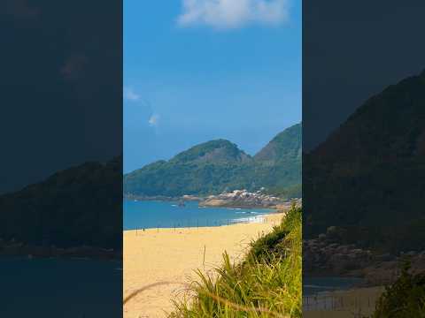 Yakushima, sei stata per me il tatuaggio che cercavo di scrivere all’interno del mio cuore 💚