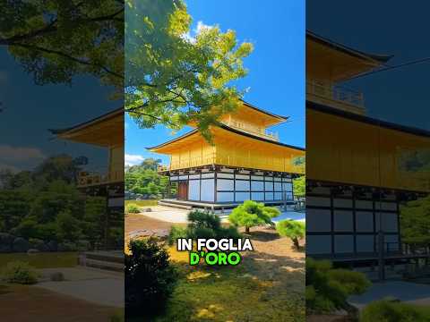 Sua Maestà il Kinkakuji #giappone #viaggioingiappone
