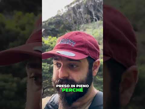 Pulci di Mare Mai Viste! 🦐🌊