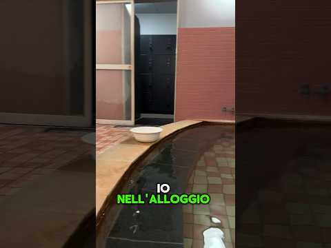 Differenze tra 🧖‍♂️ ♨️Onsen e 🛁Sento in #giappone