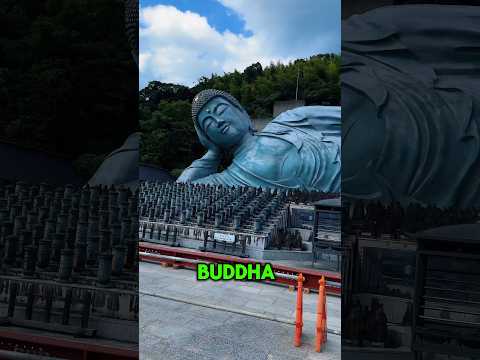 Nanzoin Temple di Fukuoka #giappone