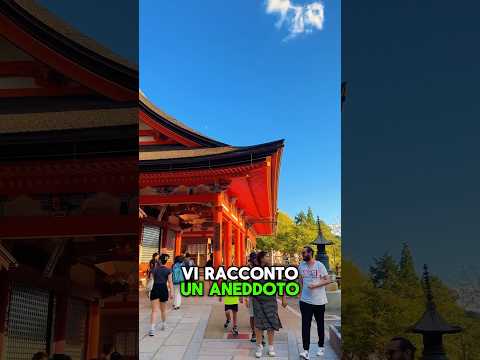 Nella Vita bisogna Buttarsi e combattere. Insegnamento da Kyoto al Kiyomizudera #giappone #viaggio