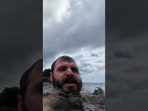 Il Sapore della Vera Libertà