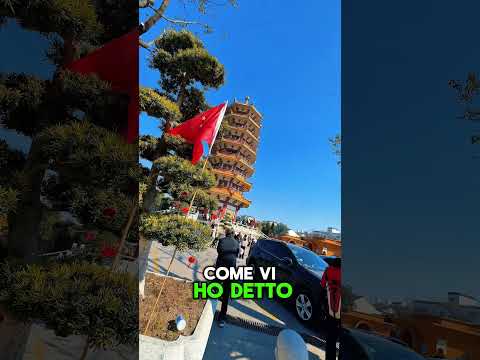 Il Tempio di Qibao oggi è pieno di persone che pregano per un anno di fortuna #travel #zaragast