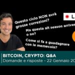 BITCOIN, CRYPTO: DOMANDE e RISPOSTE – Memecoin, alt season annullata? Questo ciclo è diverso?