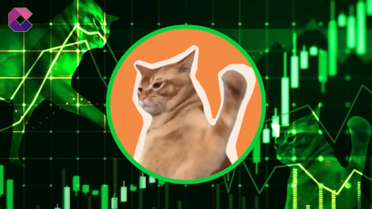 SLAP vola: Catslap cresce del 59% mentre l’airdrop della Season 1 si chiude