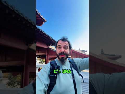 Sembra il Palazzo del Re delle Anime di DragonBall 🐉 #travel #zaragast #cina