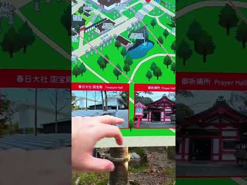 Un giorno magico a Nara tra cervi e antichi santuari! 🦌🏯