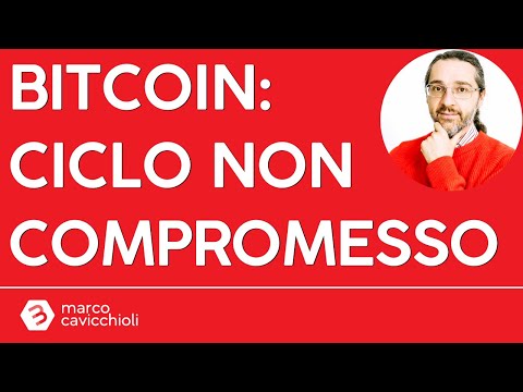 Bitcoin: il ciclo NON è compromesso (perlomeno per ora)