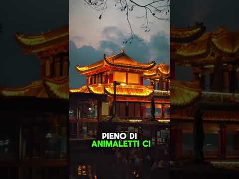 Hangzhou, che spettacolo! 🇨🇳✨