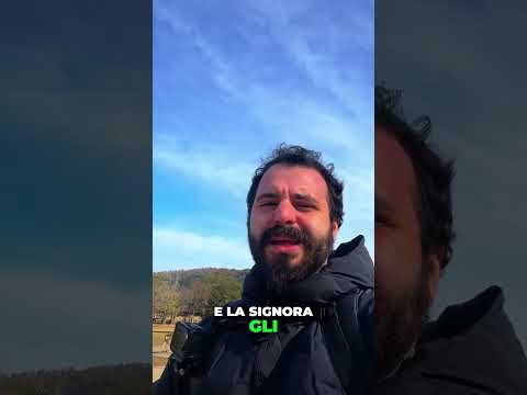 I cervi di Nara sono in combutta?! 🤯🦌