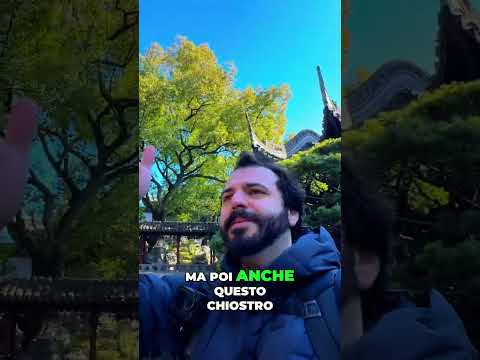 🌿 Yu Garden: Un angolo di pace a Shanghai 🇨🇳✨