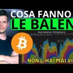 🚨 NON CI CREDERAI: COSA FANNO LE BALENE ORA 🚨 MORNING w/CRYPTO: BITCOIN / ALTCOINS [time sensitive]