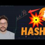 IL SEGNALE HASH! QUESTA VOLTA E’ DIVERSO? BULL MARKET GIA’ ESAURITO O GIGANTESCA BEAR TRAP?!