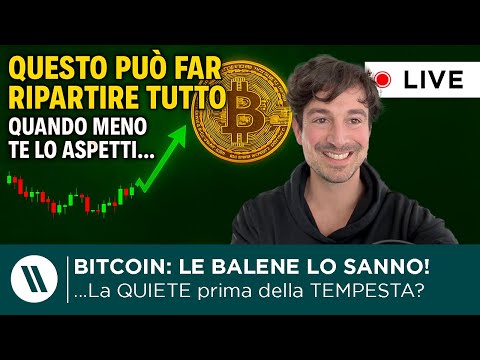 BITCOIN, CRYPTO: NEWS e ANALISI DI MERCATO  QUESTO PUÒ FAR RIPARTIRE TUTTO! (le BALENE lo SANNO…)