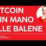 Bitcoin è in mano alle balene!