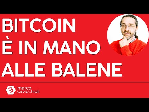 Bitcoin è in mano alle balene!