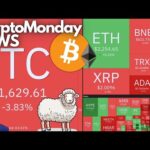 PAURA BITCOIN, ma ESCI dal GREGGE! 🐑 Crypto Monday NEWS w25/’25