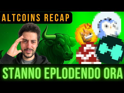 🚨STANNO ESPLODENDO ORA?! 🚨 ALTCOIN RECAP