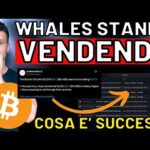 🚨 NON FARTI FREGARE ORA 🚨 MORNING w/CRYPTO: BITCOIN / ALTCOINS [time sensitive]
