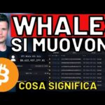 🚨 ATTENZIONE: WHALES SI MUOVONO! 🚨 MORNING w/CRYPTO: BITCOIN / ALTCOINS [time sensitive]