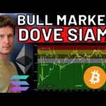 🚨 IMPORTANTE: DOVE SIAMO NEL CICLO 🚨 MORNING w/CRYPTO: BITCOIN / ALTCOINS [time sensitive]